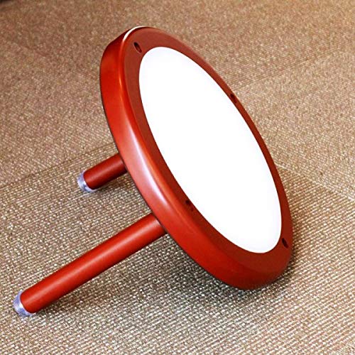 Amazon | 【諏訪楽器】みるみる上達くん（小）サイズ30cm＆上達くん